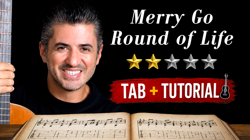 Merry-Go-Round of Life